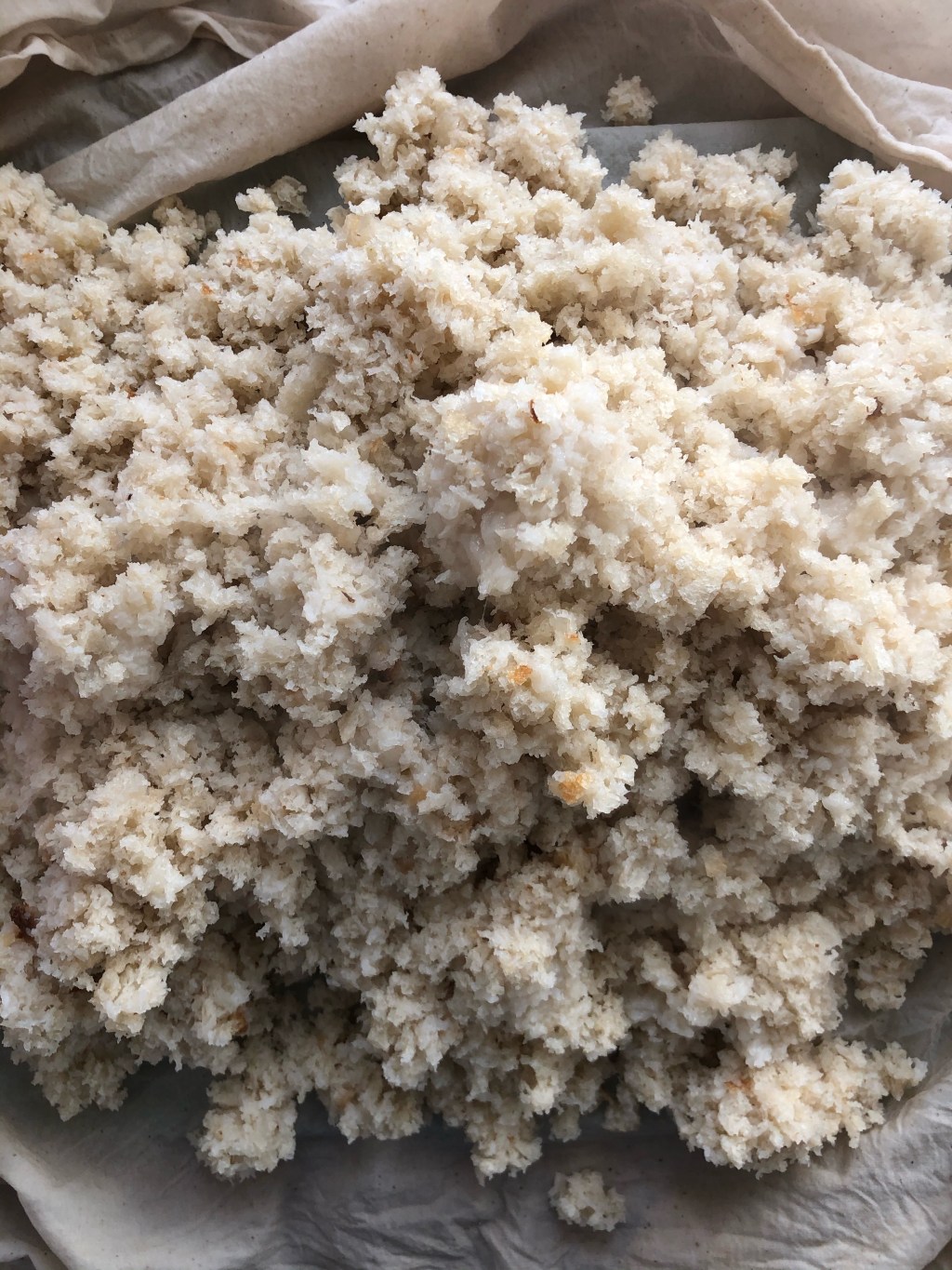 Week 3- The Fermentation’s Vacation